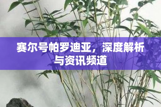 深度解析与资讯频道图片