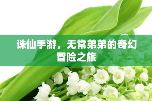 无常弟弟的奇幻冒险之旅图片