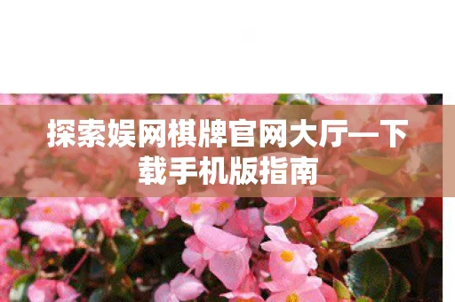 探索娱网棋牌官网大厅图片