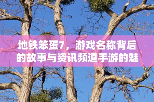 游戏名称背后的故事与资讯频道手游的魅力图片