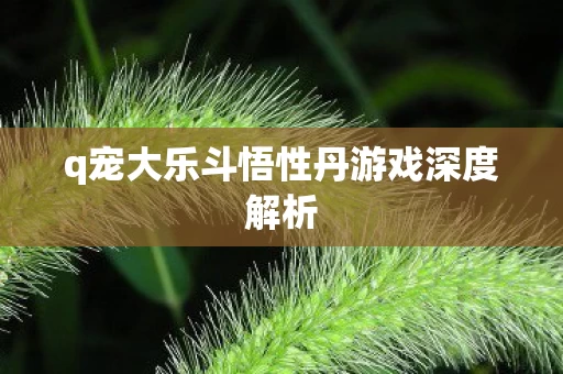 q宠大乐斗悟性丹游戏深度解析图片