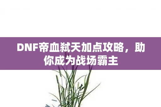 DNF帝血弑天加点攻略图片