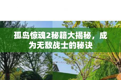 孤岛惊魂2秘籍大揭秘图片