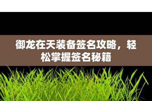 御龙在天装备签名攻略图片
