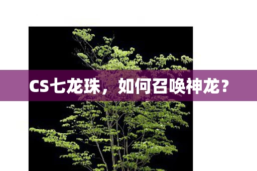 如何召唤神龙图片