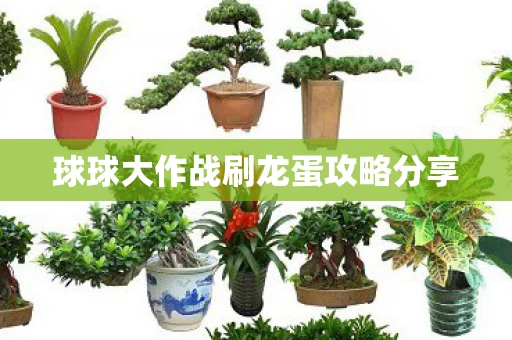 球球大作战刷龙蛋攻略分享图片