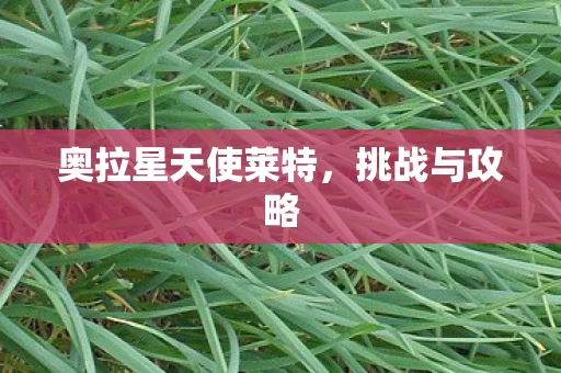 奥拉星天使莱特图片