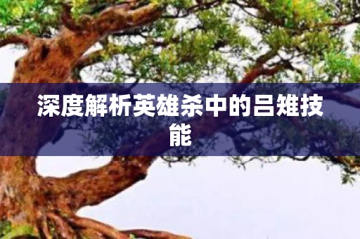 深度解析英雄杀中的吕雉技能图片