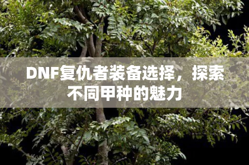 DNF复仇者装备选择图片
