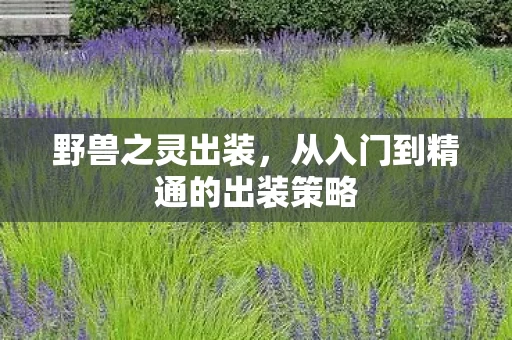 从入门到精通的出装策略图片