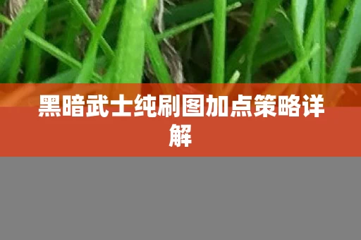 黑暗武士纯刷图加点策略详解图片