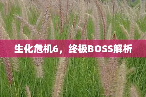终极BOSS解析图片