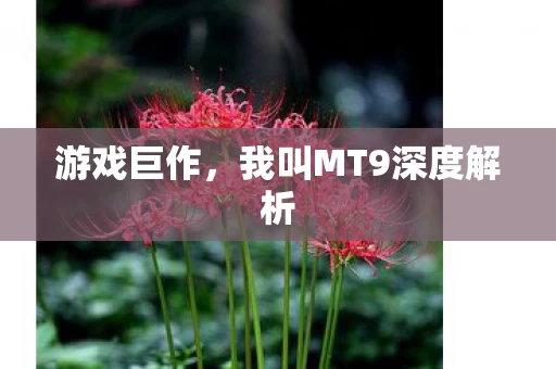 我叫MT9深度解析图片