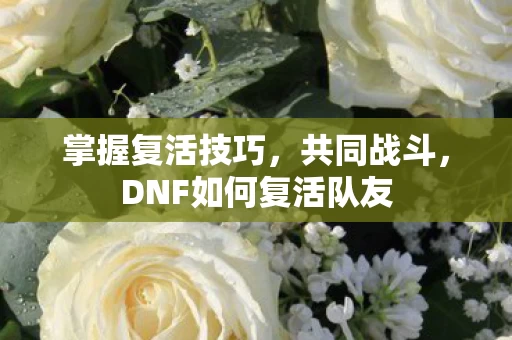 DNF如何复活队友图片