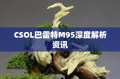 CSOL巴雷特M95深度解析资讯图片