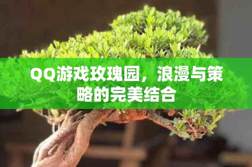浪漫与策略的完美结合图片