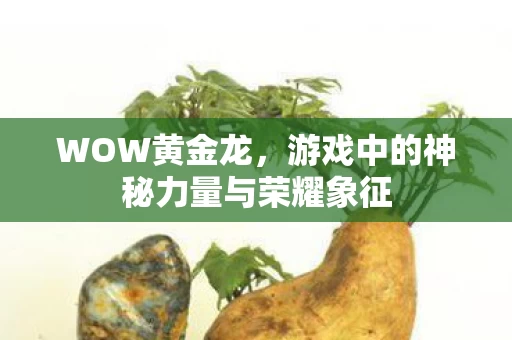 游戏中的神秘力量与荣耀象征图片