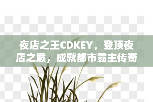 夜店之王CDKEY图片