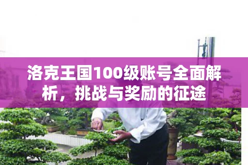 洛克王国100级账号全面解析图片