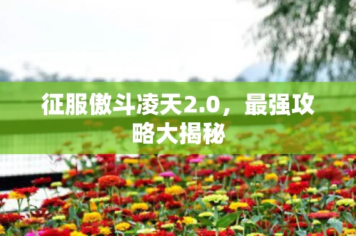 征服傲斗凌天2图片
