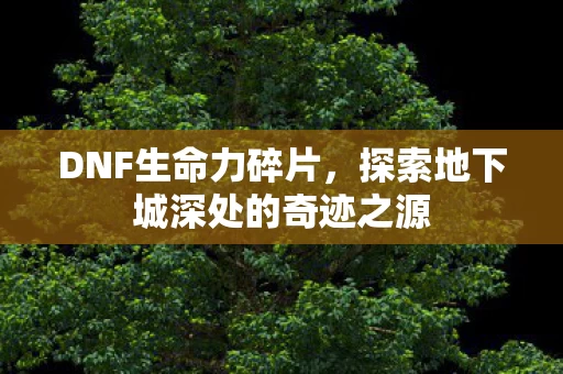 探索地下城深处的奇迹之源图片