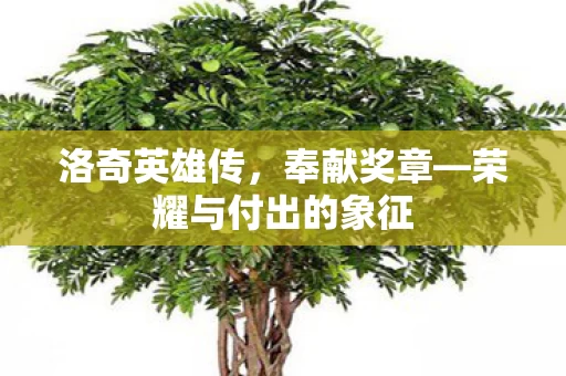 荣耀与付出的象征图片