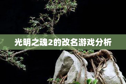 光明之魂2的改名游戏分析图片