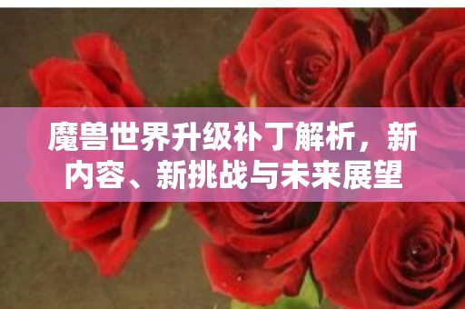 魔兽世界升级补丁解析图片