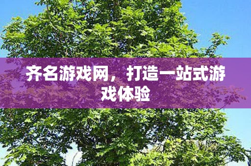 打造一站式游戏体验图片
