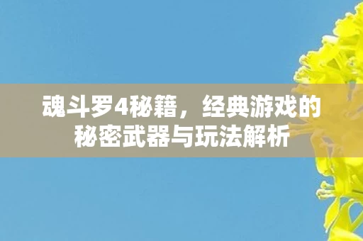 经典游戏的秘密武器与玩法解析图片
