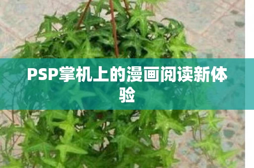 PSP掌机上的漫画阅读新体验图片