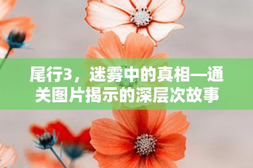 通关图片揭示的深层次故事图片