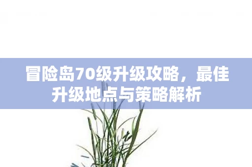 最佳升级地点与策略解析图片