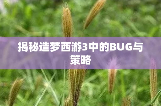 揭秘造梦西游3中的BUG与策略图片