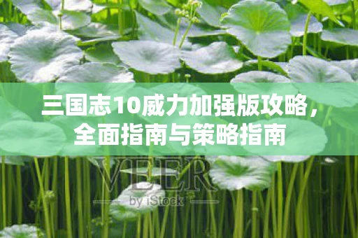 三国志10威力加强版攻略图片