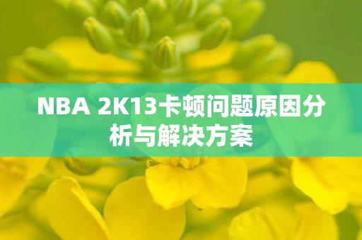 NBA 2K13卡顿问题原因分析与解决方案图片