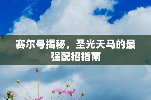 圣光天马的最强配招指南图片