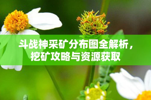 斗战神采矿分布图全解析图片