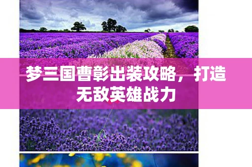 梦三国曹彰出装攻略图片
