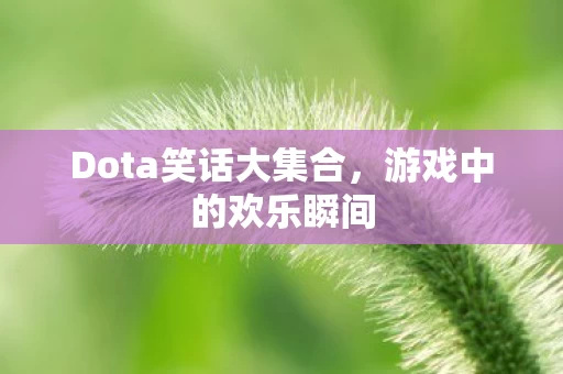 Dota笑话大集合图片