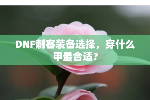 DNF刺客装备选择图片