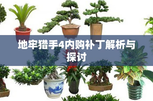 地牢猎手4内购补丁解析与探讨图片