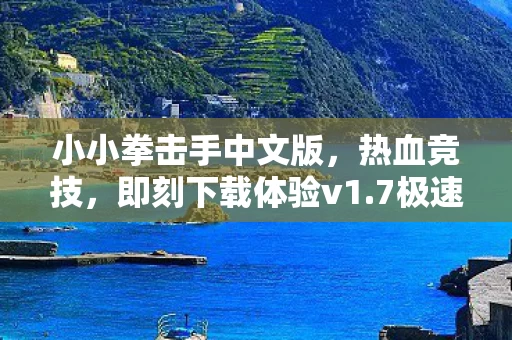 小小拳击手中文版图片