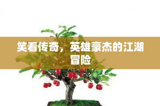 英雄豪杰的江湖冒险图片