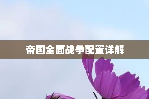 帝国全面战争配置详解图片