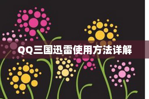 QQ三国迅雷使用方法详解图片
