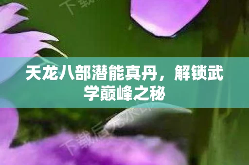 天龙八部潜能真丹图片