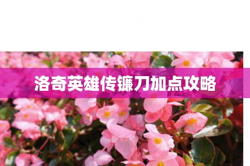 洛奇英雄传镰刀加点攻略图片