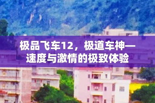 速度与激情的极致体验图片