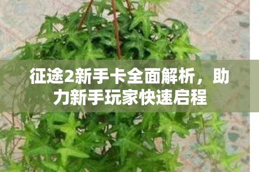 征途2新手卡全面解析图片